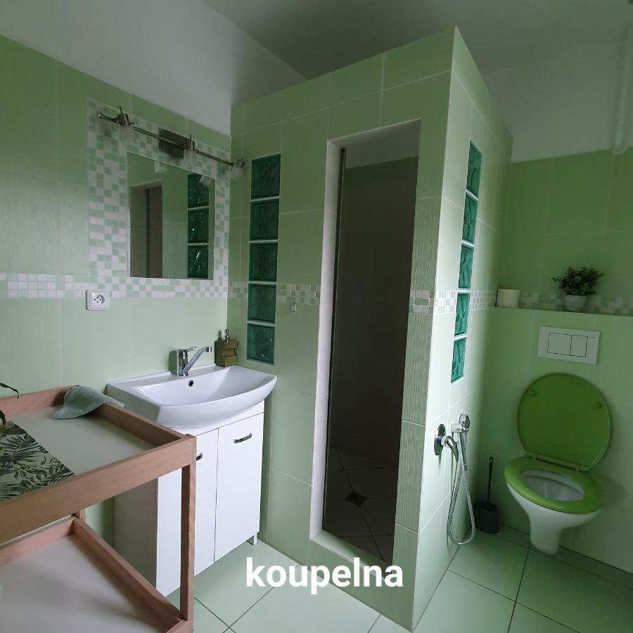 Apartman U Jakuba Двур-Кралове-над-Лабем Екстер'єр фото